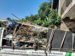 Best Scrap Metal Removal  in Mcalmont, AR